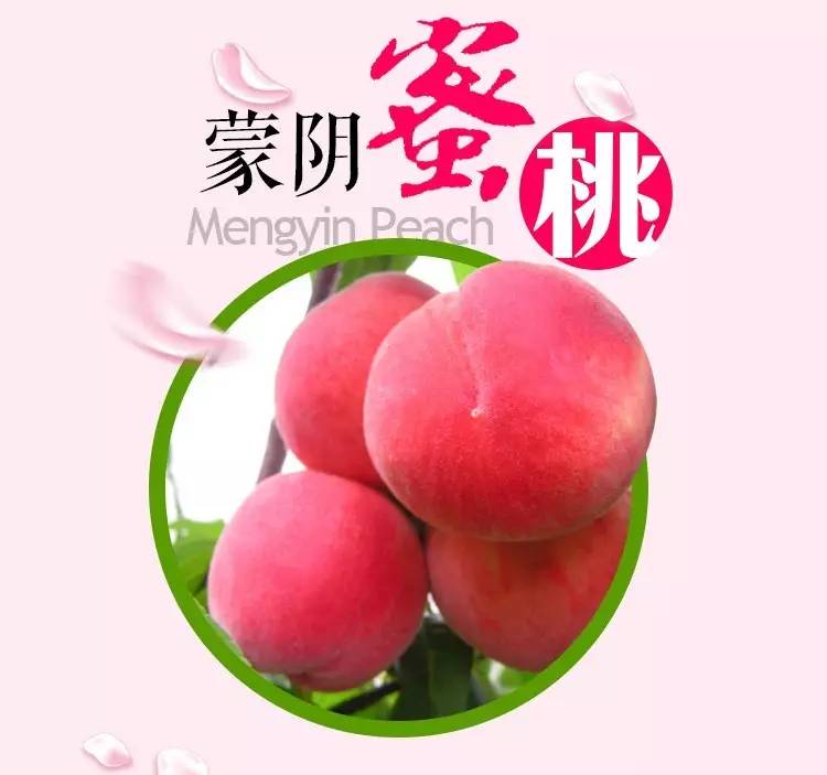 秋葵香蕉苹果草莓丝瓜绿巨人 积累起来就是大变化