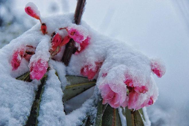 无码人妻精品一区二区三区东京热 三区”这样的无码划分