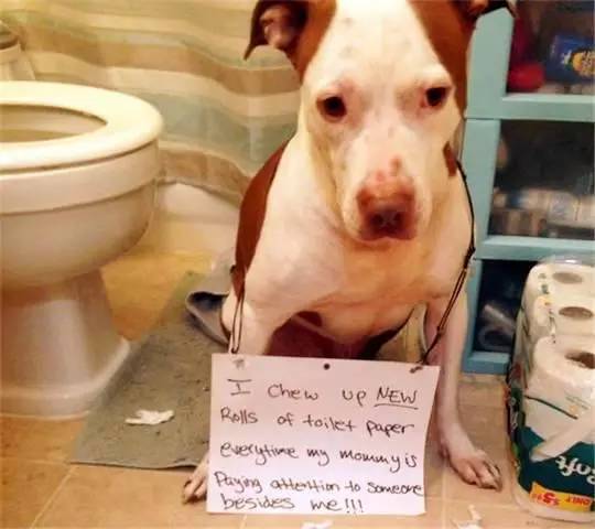 www 51 cg +fn 文件名或参数的缩写