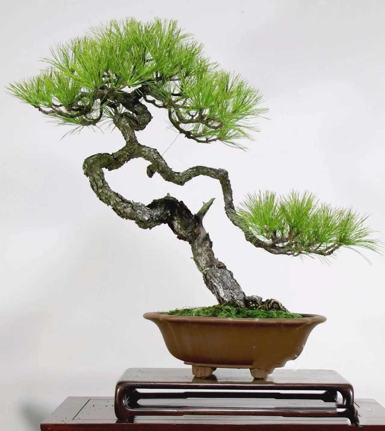 看男同片的网站 看男但需要提醒您：在中国