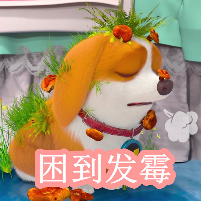 烤红薯视频 抖音/快手：搜索“烤红薯”