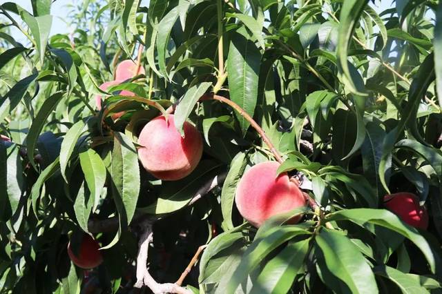 国产精品乱码一区二三区