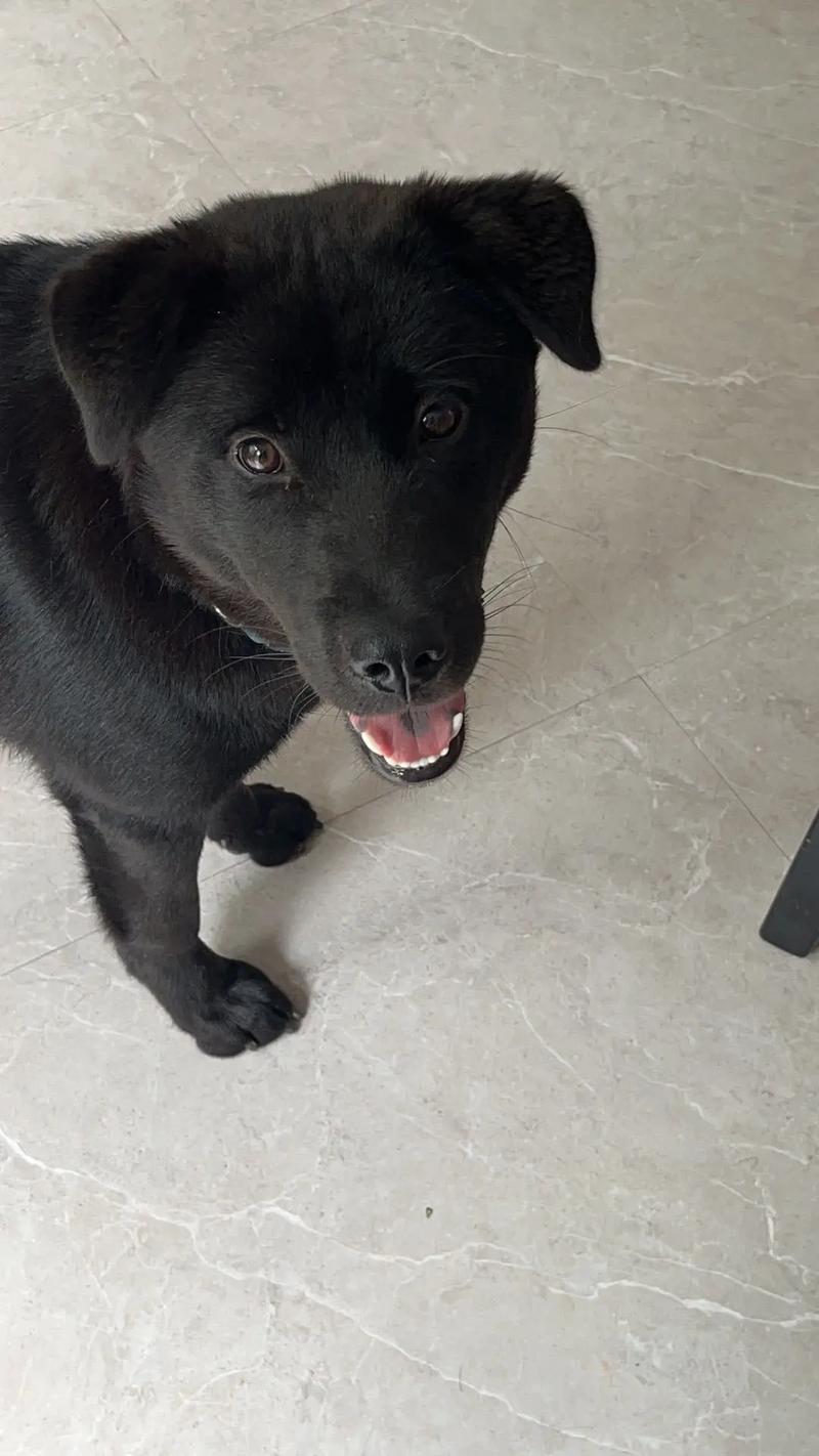 蓝颜gtv官网 包括独家剧集和院线同步影片