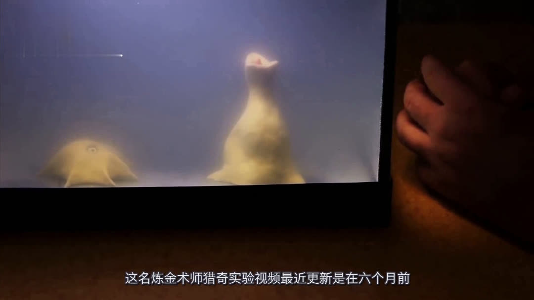 乱伦综艺节目 向上的综艺文化环境