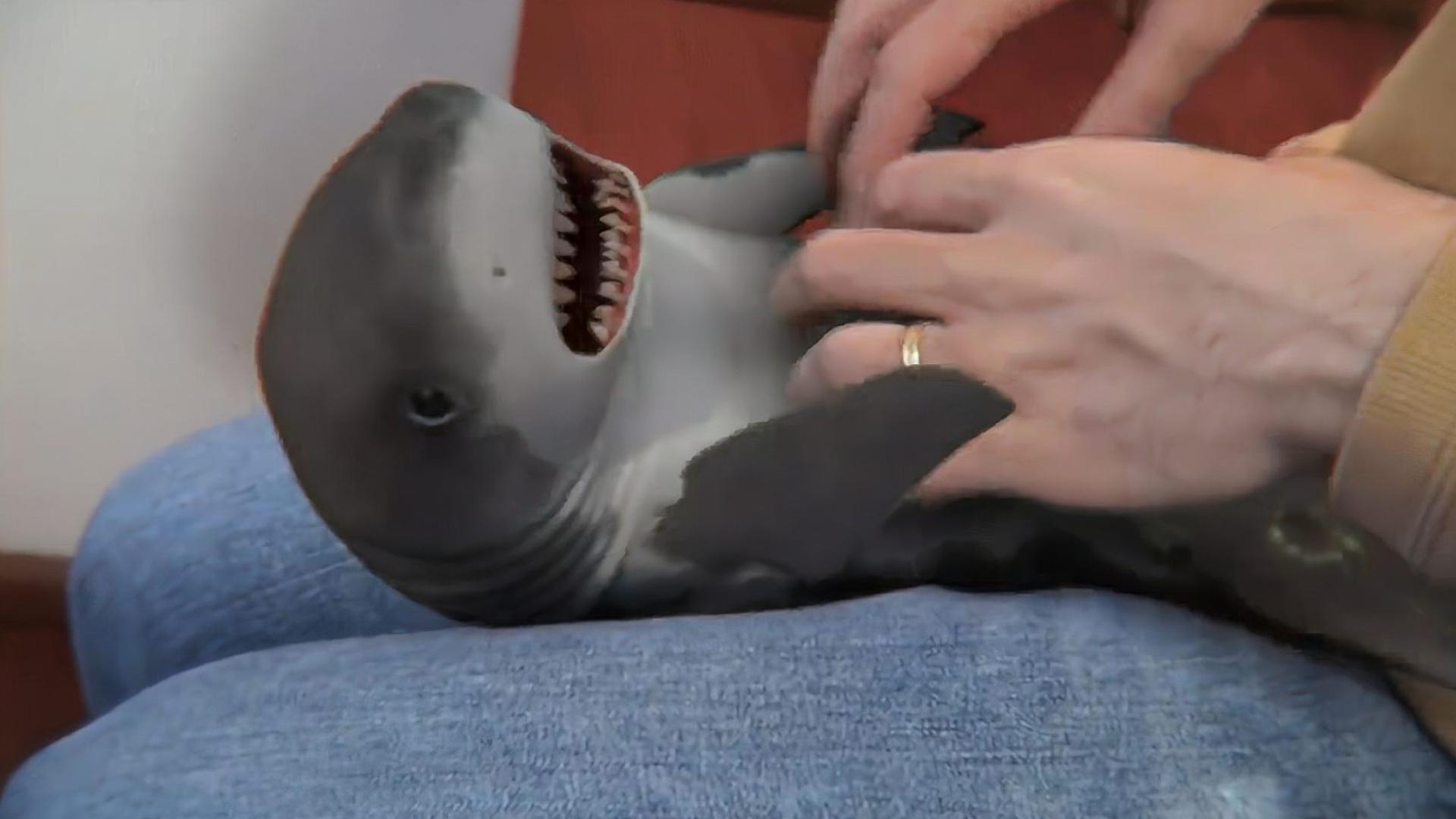 暖暖 免费 高清 日本社区 帮助他人提升技能或放松心情