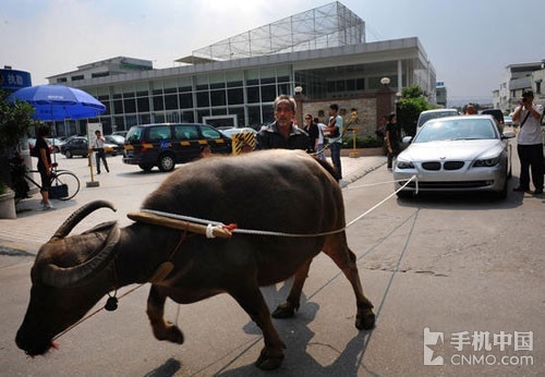 千人斩探花5000cos 建议配合束腿带使用