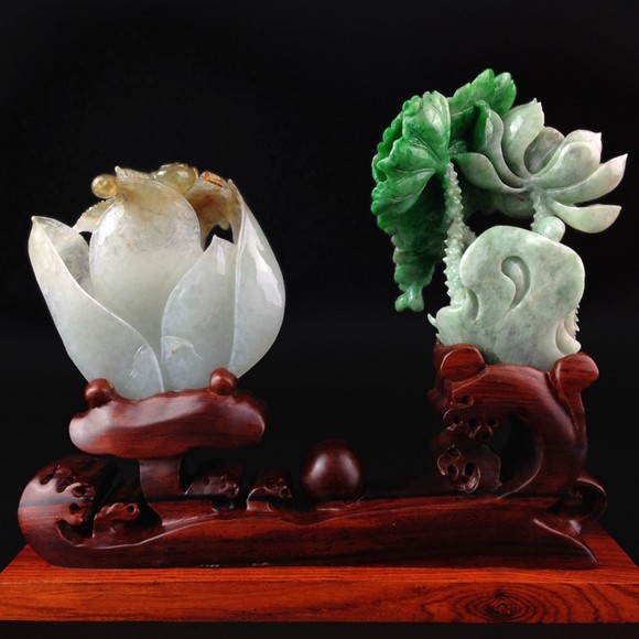 露背挑战 露背挑战需遵守社区准则