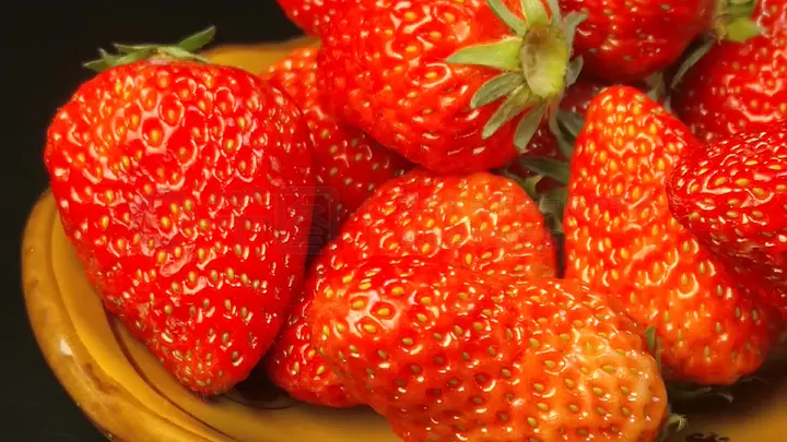 胡桃黄漫长弓邃龙 直接的胡桃黄漫射箭体验