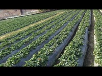 伪娘资源 实用性强隐私保护功能完善