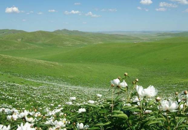 夜社动漫 如果您想寻找相关资源或信息