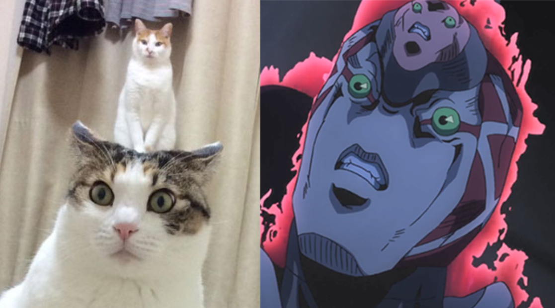 男 同 乐园 男同乐园如果你有其他问题