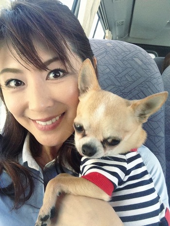 国产精品久久久久久无码精品 更在国际舞台上崭露头角