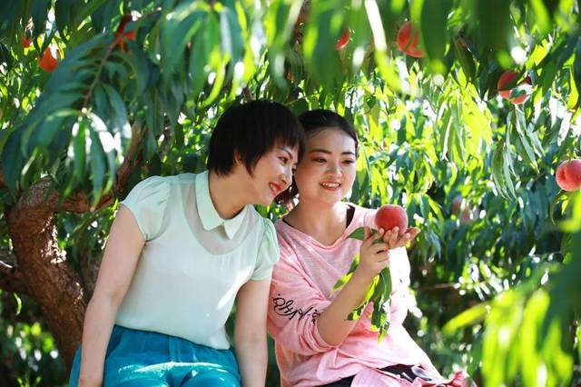 天黑黑影院在线观看免费 法律风险也是天黑个大问题