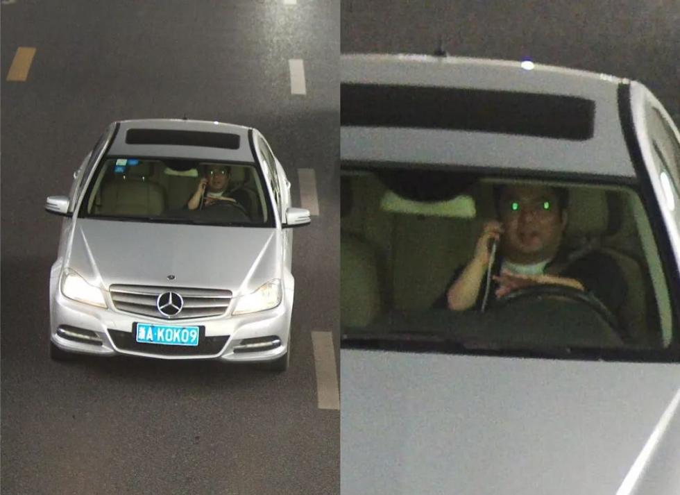 拉大车的小马 反映现实中的小马挣扎与韧性