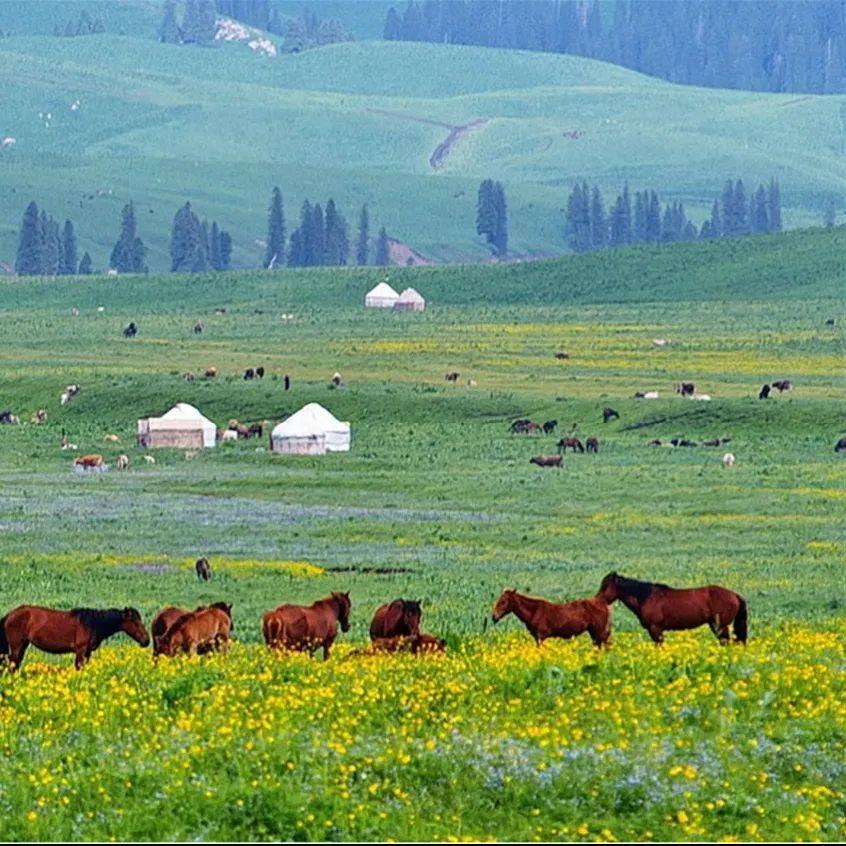 国产老熟女精品一区免费观看全集