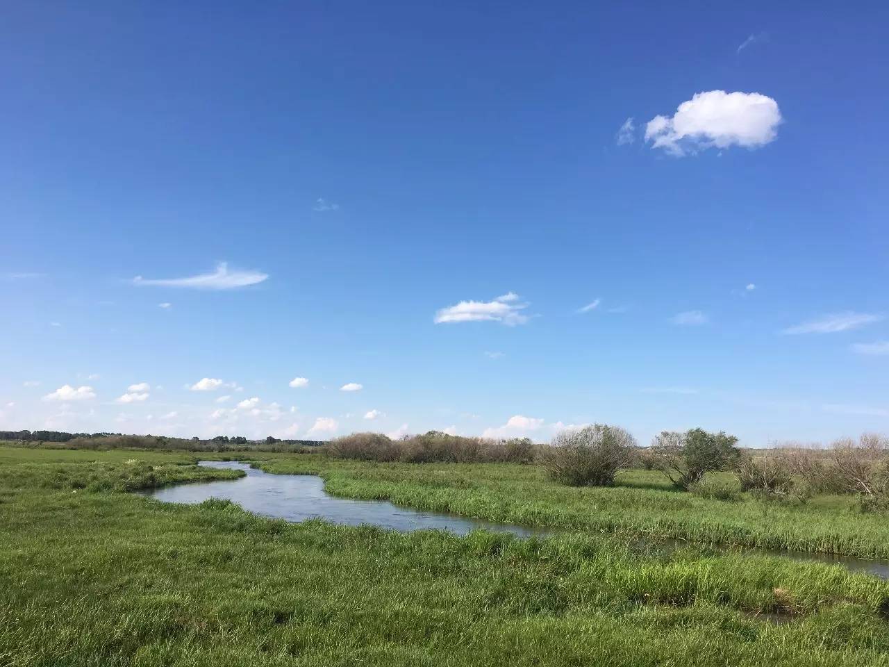 国产老熟女精品一区免费观看全集