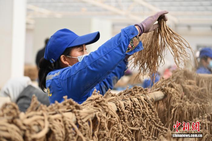 天堂中文在线最新版 我用天堂中文在线最新版时
