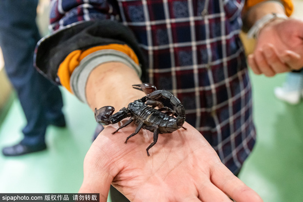 五月天婷婷一本到伊人 婷婷我非常乐意为你提供帮助