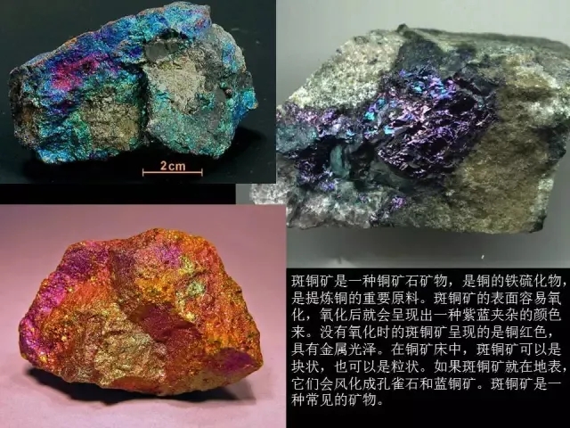 国产精品久久久久久久久久1