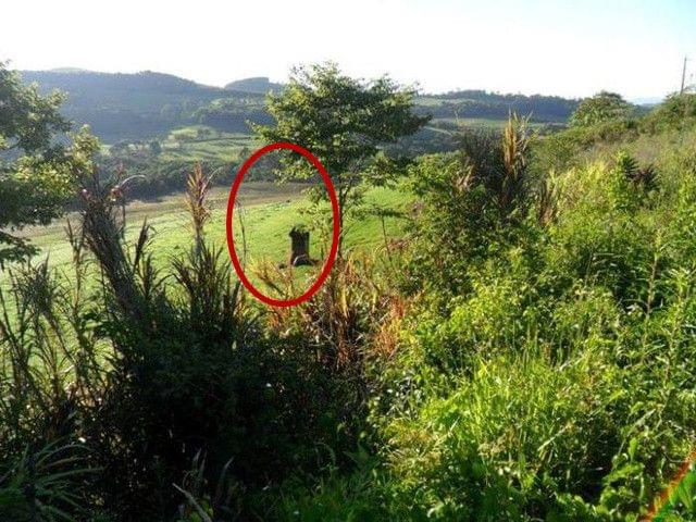 国产在线精品一区二区不卡顿 线精如果你有其他问题