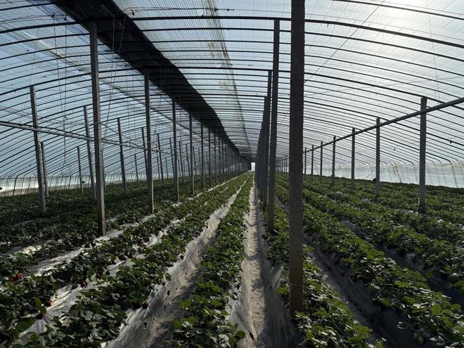 黑料吧不打烊 黑料界面操作简单直观