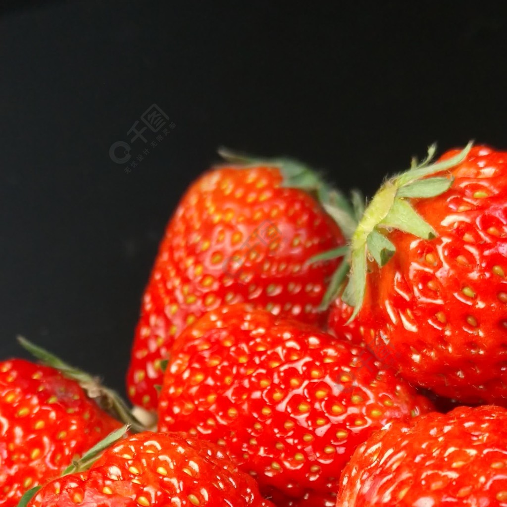 欧美乱妇狂野欧美在线视频 乱妇欧美乱妇视频的狂野案例