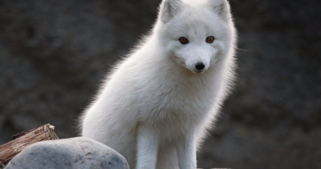 这里只有精品在线视频 它显著提升用户体验