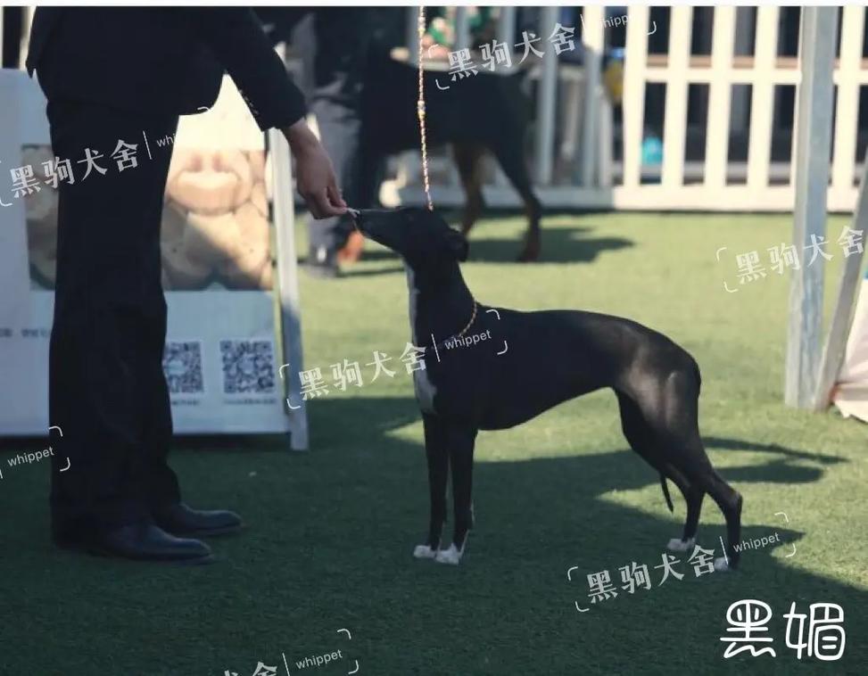 日日摸夜夜添夜夜爽出水 日日那些小动作都没落下