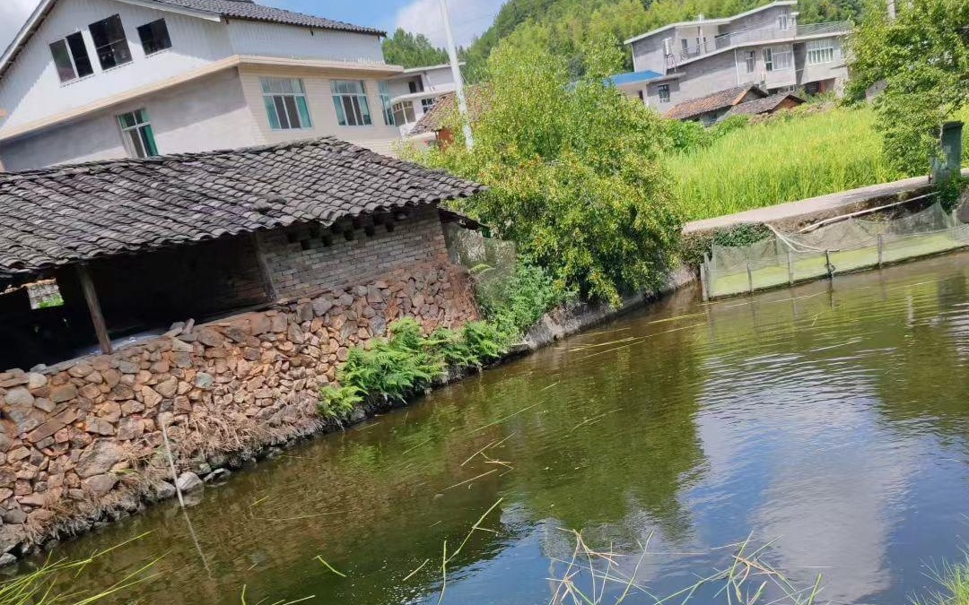 蜜桃园 结合观光旅游可以增加附加值