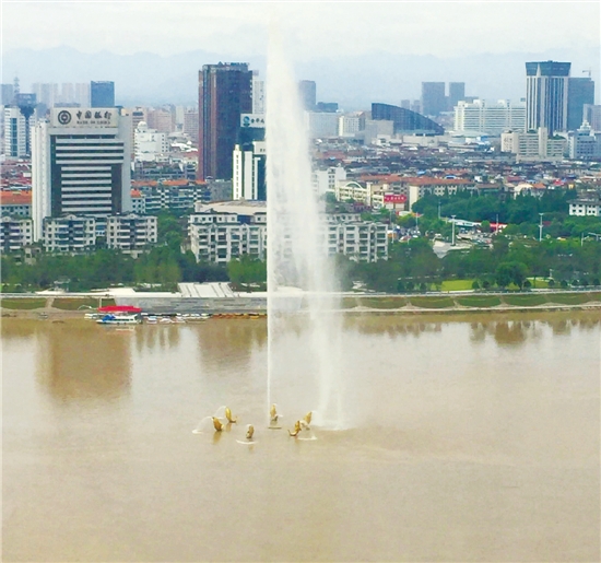 高级订制啄木鸟 啄木油画或装置艺术