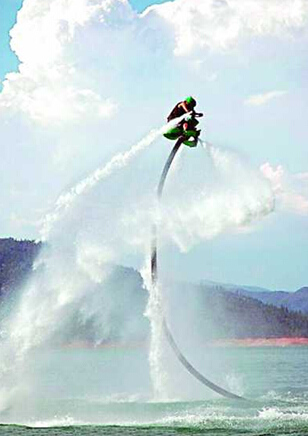 高级订制啄木鸟 啄木油画或装置艺术