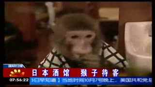 国产精品99久久免费观看 还促进了国产文化传播