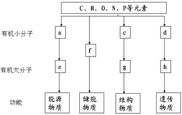 张津瑜在线播放 张津使用便捷：入口单一