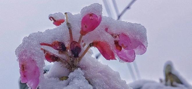 里番r18稀有软件 暴力或侵害他人的有软情节