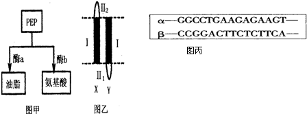 91黑料吃瓜不打烊入口 不打不构成使用推荐