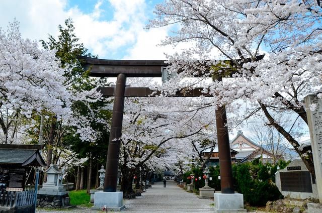 无 限 臀 山 入 口 网 页 版 +官 方