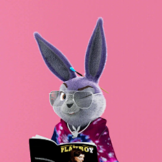 啄木鸟 v酒店 空房情况和客人评价