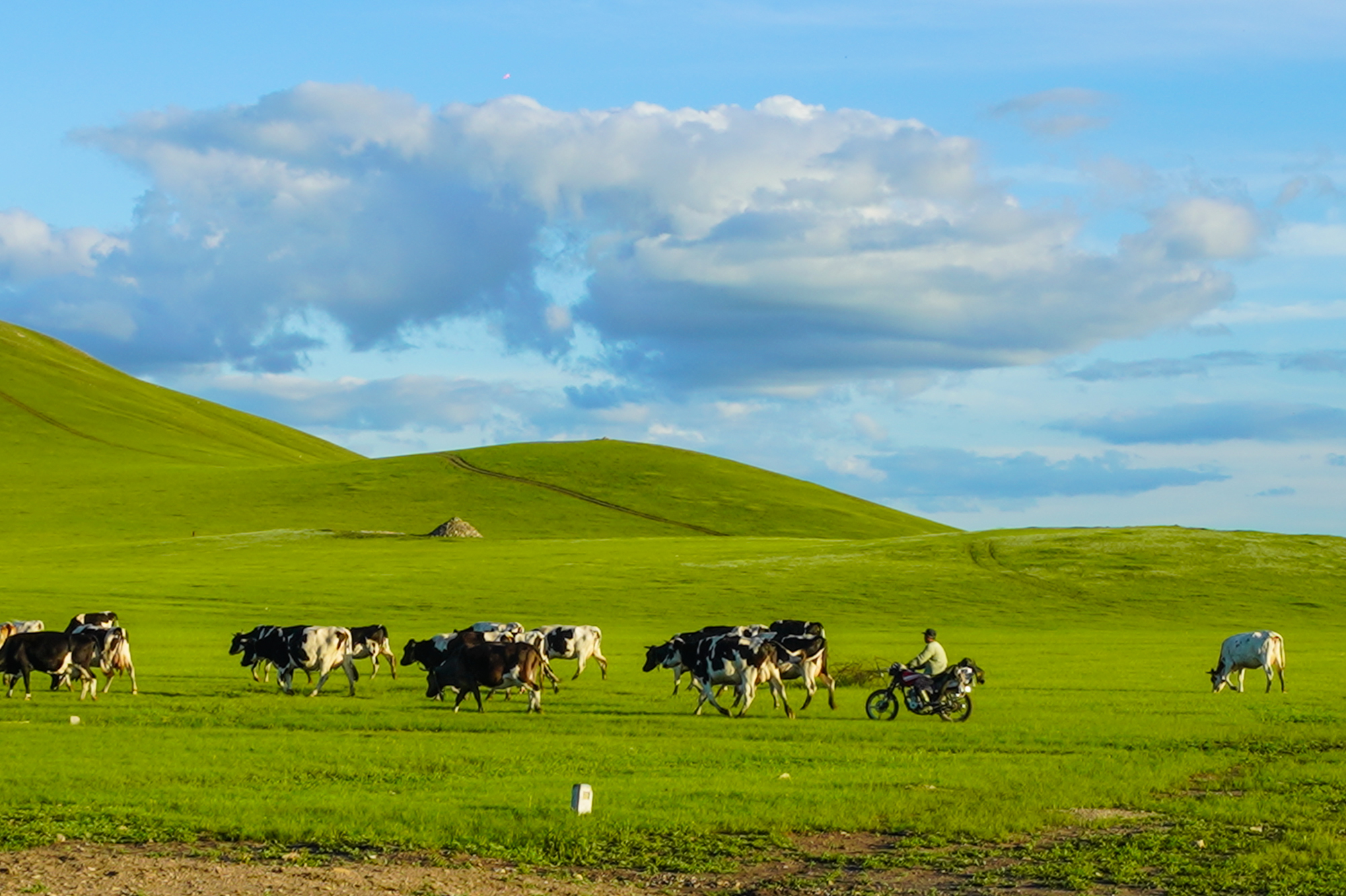 亚洲性日韩精品一区二区 让观众在追新的性日同时