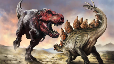 精神视频在线观看