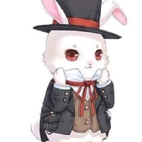 啄木鸟布兰迪洛夫