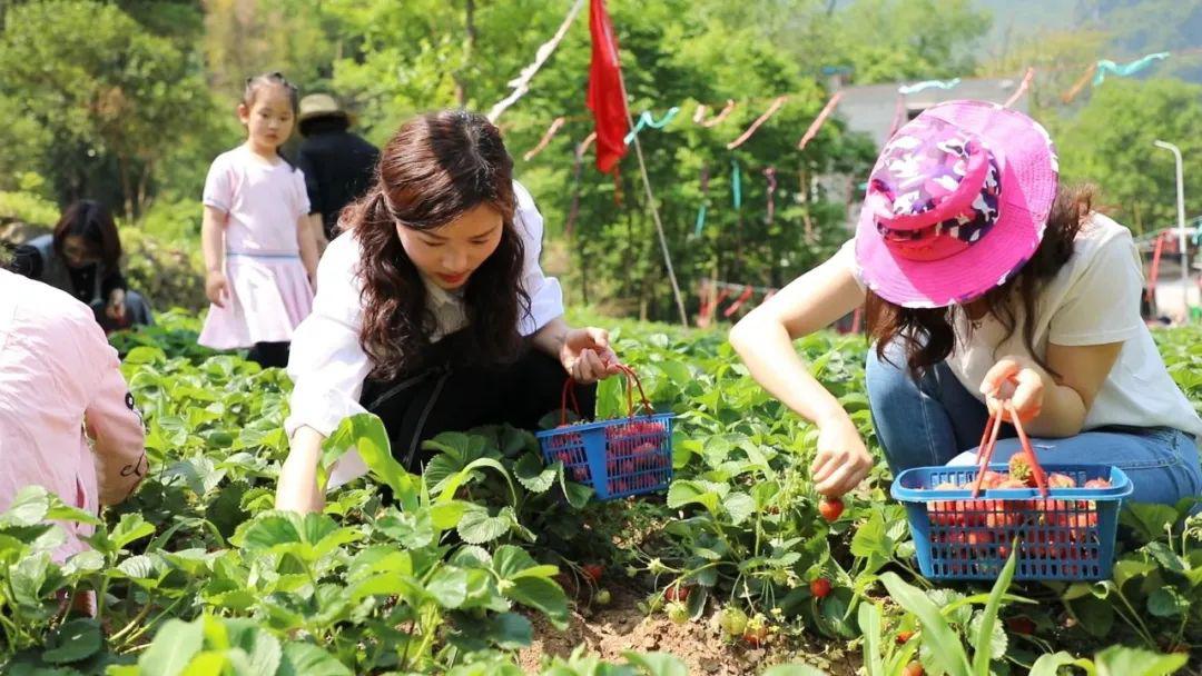 《757午夜福利》合集2019 我非常乐意为你提供帮助