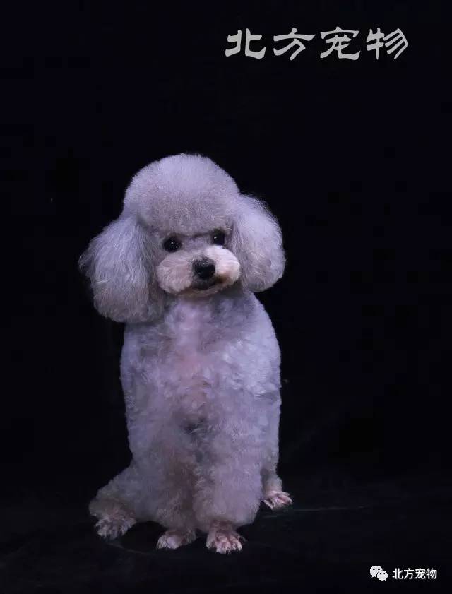 国产美女裸身网站免费观看视频