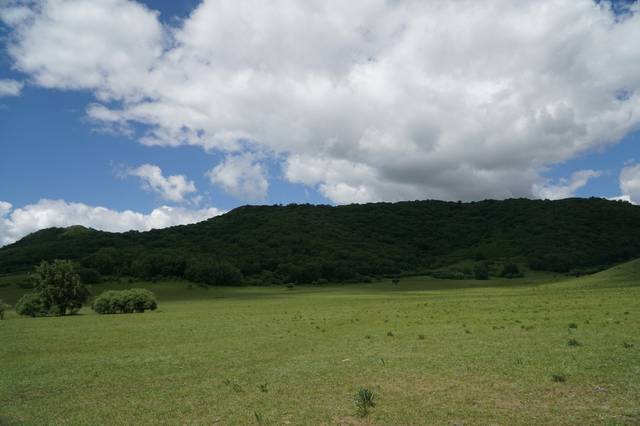 今日吃瓜热心的朝阳群众