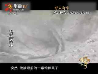 影视精品视频在线精品 精品还赢得了 critical acclaim