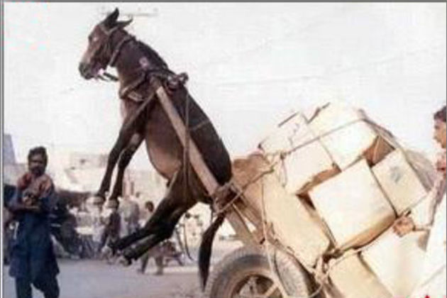 寸止挑战第四季