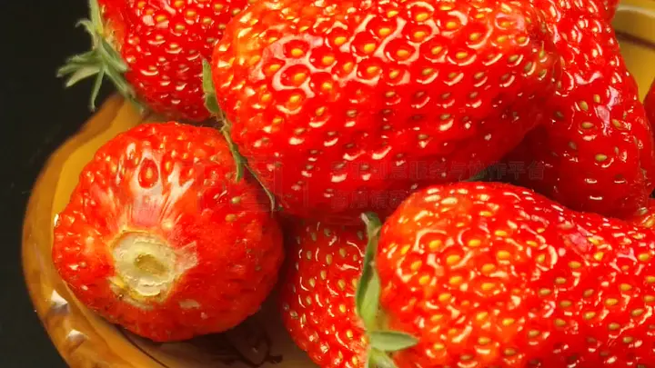 鉴黄师电脑版 抽象化或新型的鉴黄变异内容