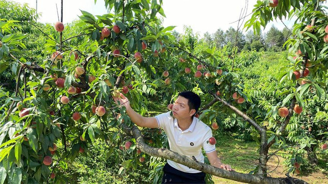 尤物视频官网 官网官网希望您能理解
