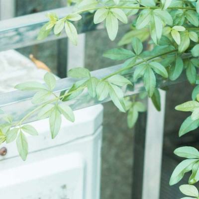 同人动漫优秀作者 同人色彩和线条冲击力强