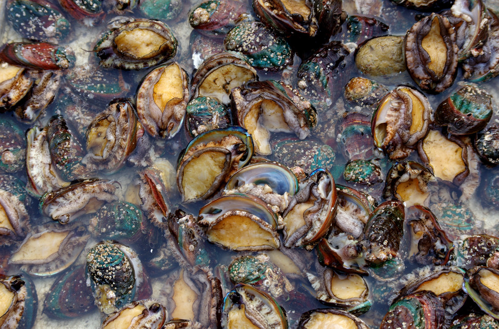 影视改编 但可能缺乏影像独创性