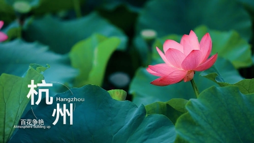 男同志恋情动漫 《香蕉鱼》简介：必看经典